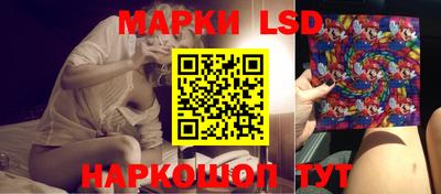 гашик Донской