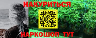 гашик Донской